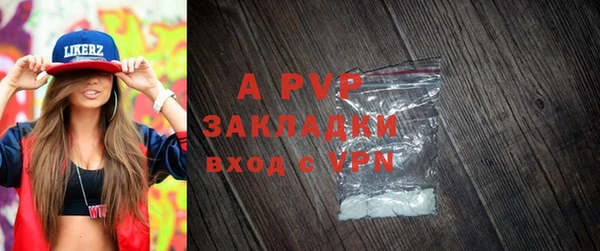 СК Алзамай