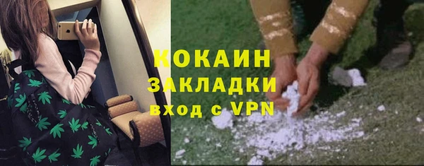 индика Саяногорск