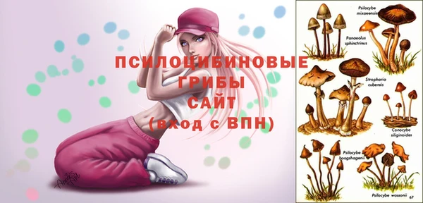 Альфа ПВП Алексеевка